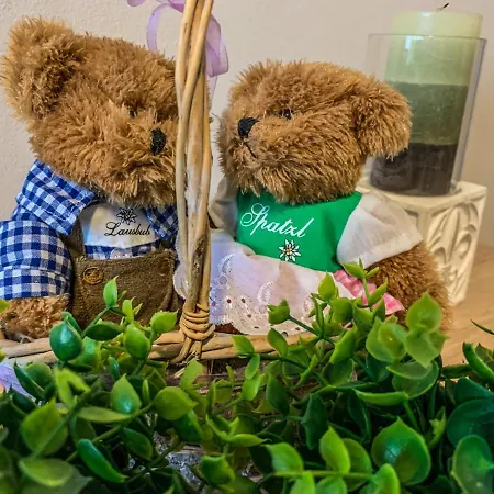 Happy Bears Place Daire